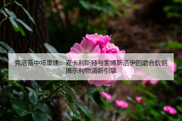 ke-luo-pu-zhong-chang-chong-jian-mai-ka-li-si-te-yu-suo-bo-si-luo-yi-de-mo-he-shu-ju-jie-shi-li-wu-pu-xin-yin-qing-3-828.jpg