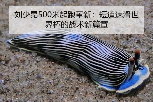 刘少昂500米起跑革新：短道速滑世界杯的战术新篇章