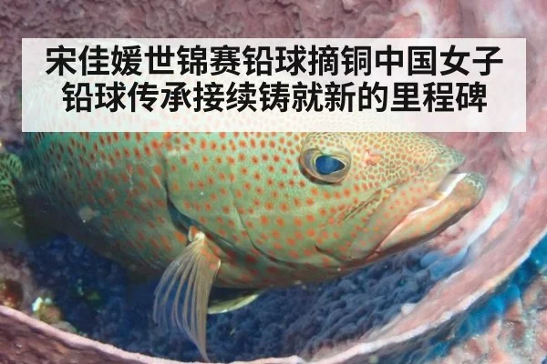宋佳媛世锦赛铅球摘铜中国女子铅球传承接续铸就新的里程碑